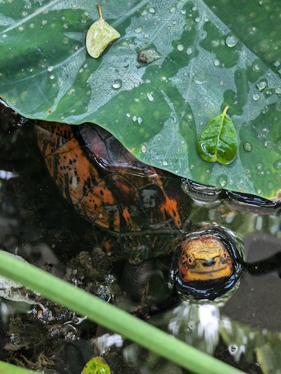 TSA staff & Board – 6