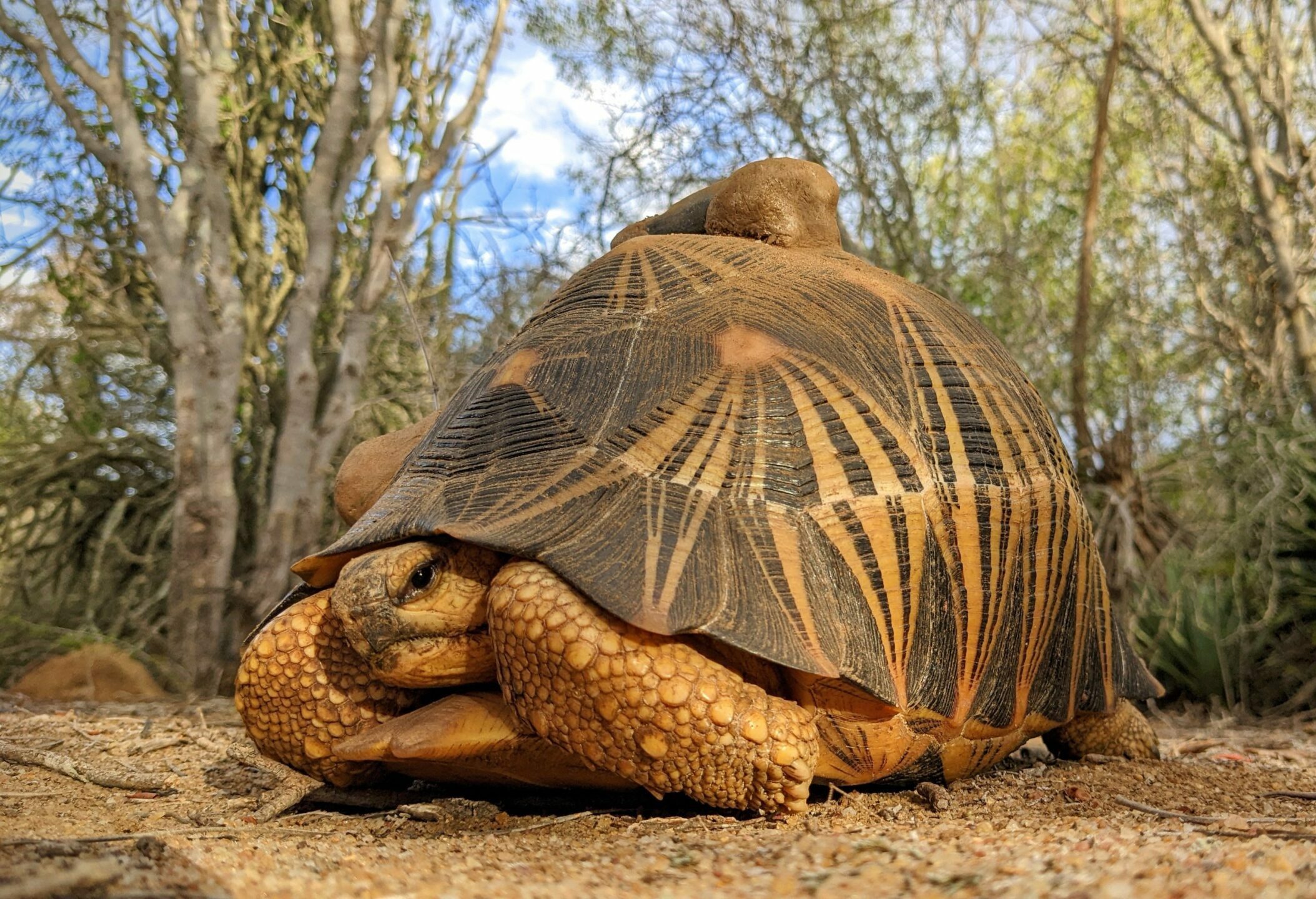 PXL_20220315_140607333~2 (1)