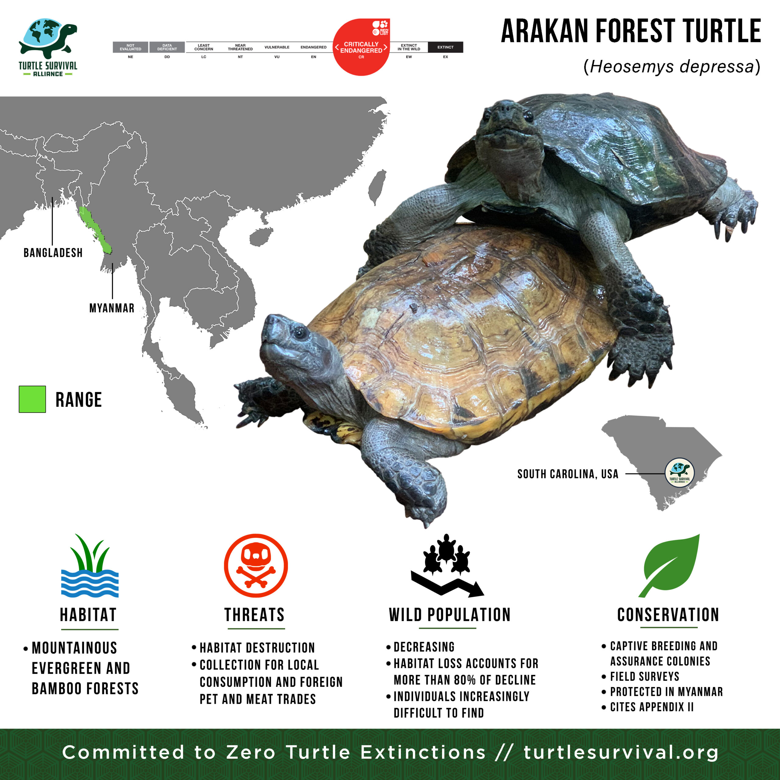 Species Range Map - Arakan Forest Turtle
