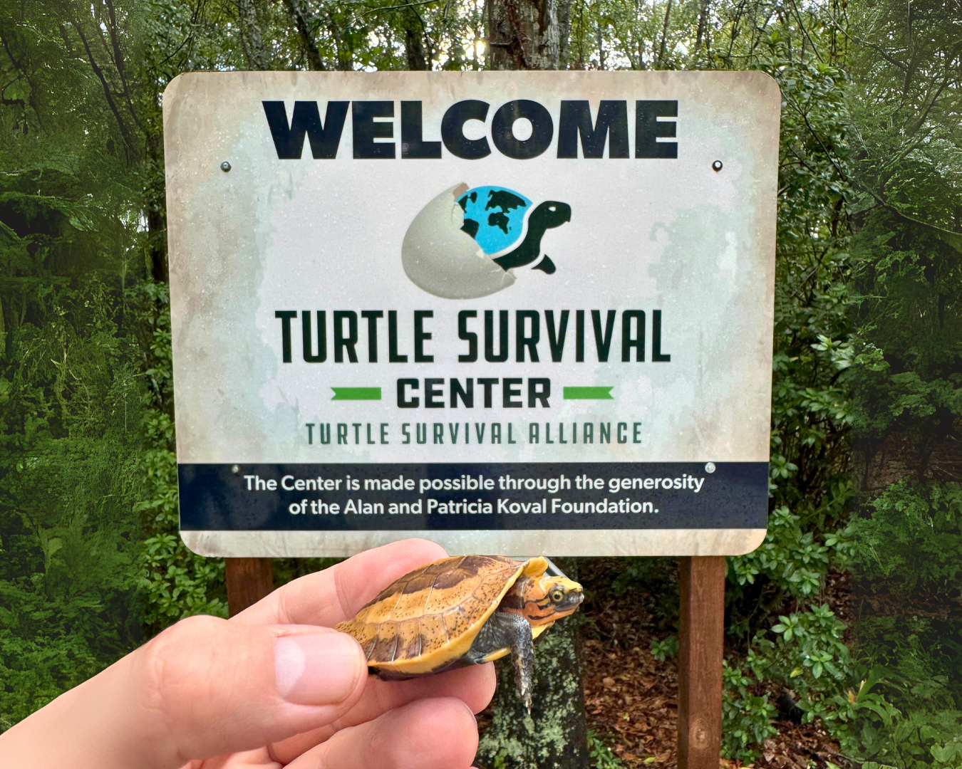 100th-Galb-1350-x-1080-px