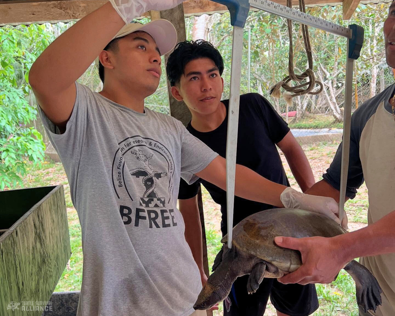 Biannual Health Assessments blog 2025 - horizontal