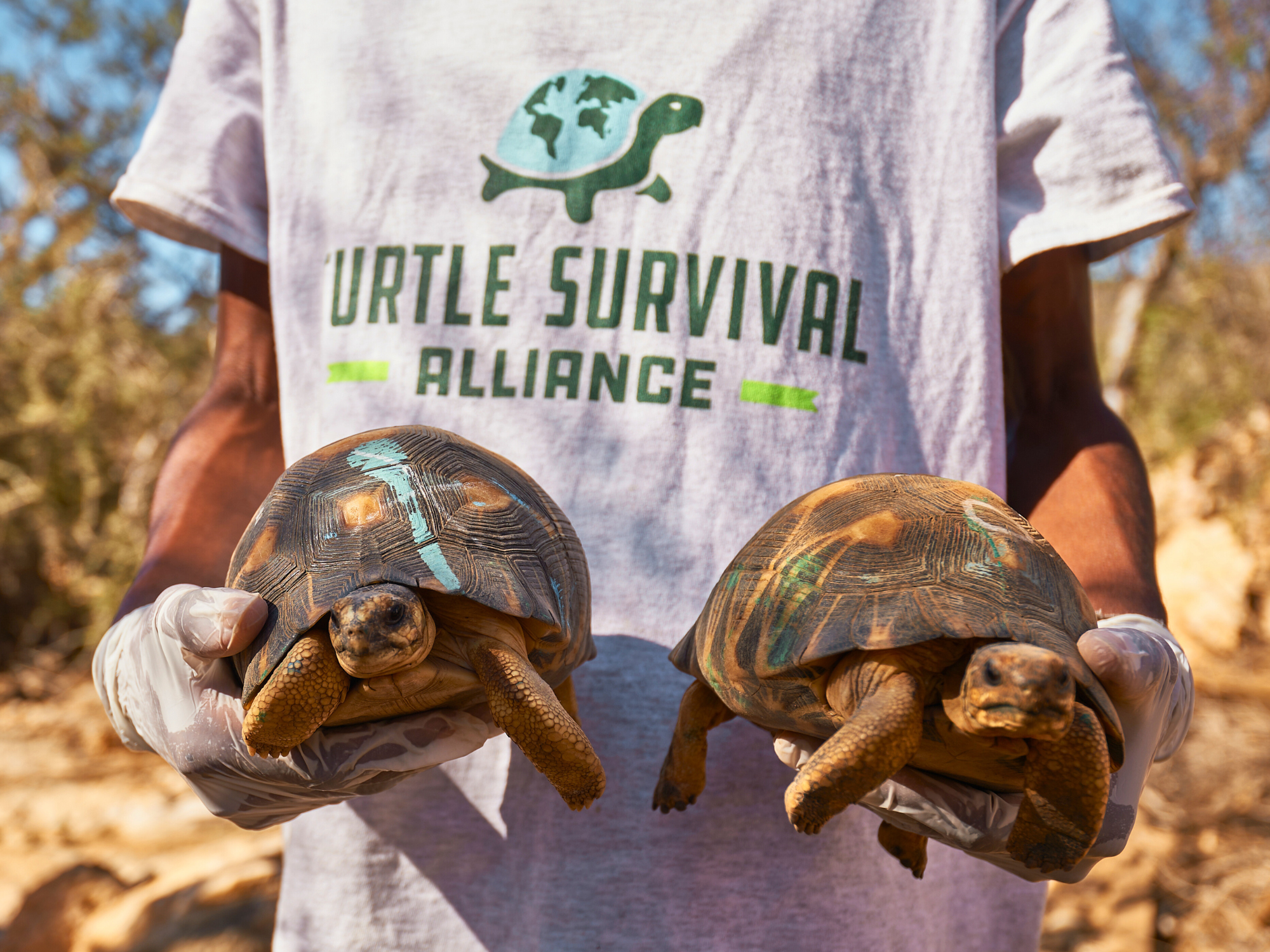 Mada blog Spring 2025