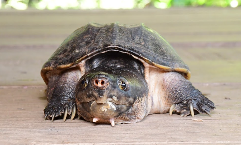 Screenshot 2023-12-11 143521