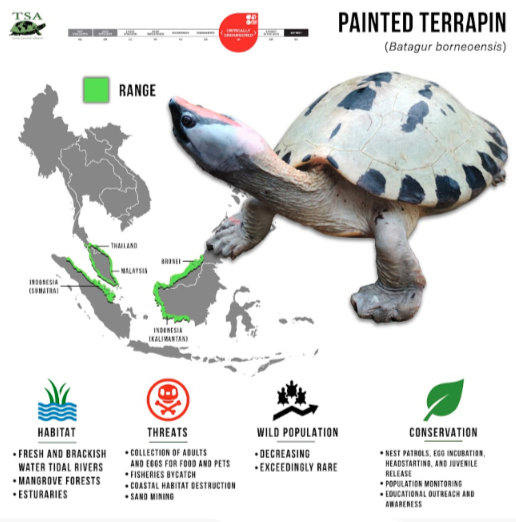 Screenshot from 2023-06-14 13-14-39