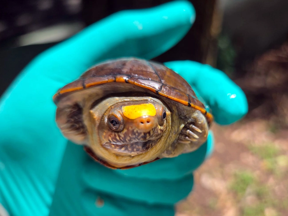 882zojAJ87eF8t-FYcbq6jhZax0XLXjLLg