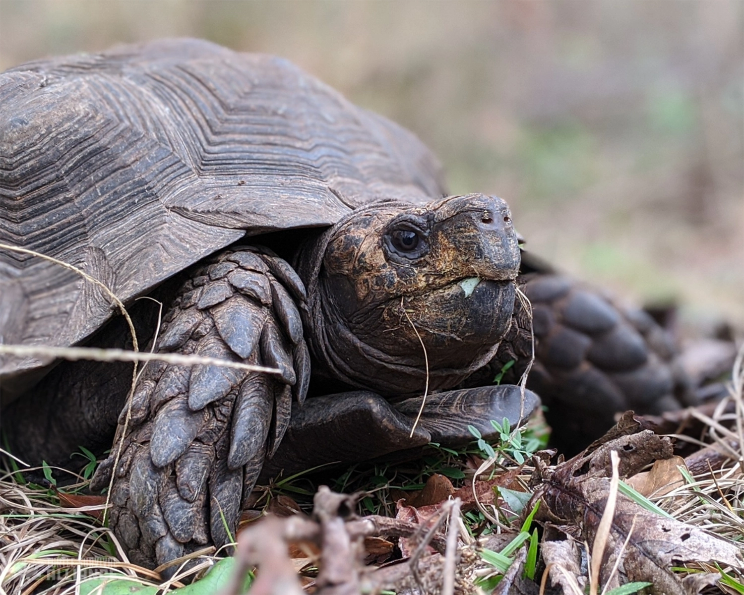 Copy-of-Social-Media-Post-Landscape-with-Watermark